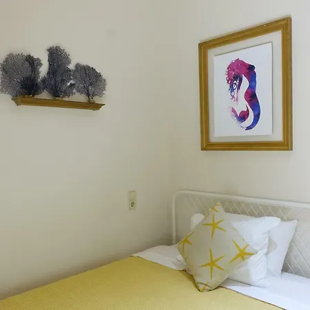 Xl Flat Valencia